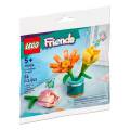 LEGO 30634 Friends Friendship Flowers
