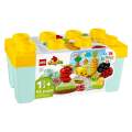 LEGO 10984 DUPLO Organic Garden