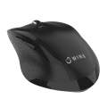 WINX Wireless Mouse