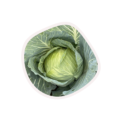Accord F1 Hybrid Cabbage (Prices from)