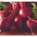 Globe Dark Red Beetroot Seeds (Prices From)