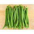 Tiezo* Bush Beans - Fine - 50 000 seeds