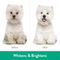 TropiClean Awapuhi & Coconut Whitening Dog & Cat Shampoo 355ml
