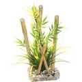 Bamboo Forest Plant 20cm