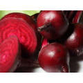 Crimson Globe Round Red Beet Seeds (Prices From)