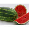 Daytona All Sweet - Watermelon Seeds (Prices From)