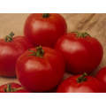 Disco LL Determinate - Salad Tomato Seeds (Prices From)