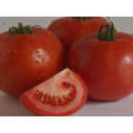 Durene Indeterminate - Salad Tomato Seeds (Prices From)