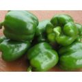 Delisha Sweet Blocky Red Pepper Seeds (Prices From)