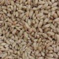 Pearled Barley. (Prices From)