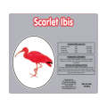 Avi-Plus Scarlet Ibis Pellets 25kg