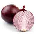 SV7030NS Short Day - Red Onion Seeds (Prices From)