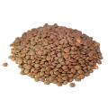 Whole Brown Lentils. (Prices From)