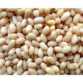 Small White Beans (Haricot/Navy Beans) (Prices from)