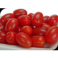 Tinker Indeterminate Speciality - Mini Plum Red Tomato Seeds (Prices From)