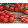 Robin Indeterminate Speciality - Cherry Red Tomato Seeds (1 000 Seeds)
