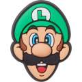 Mario Brothers Luigi