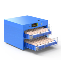 Blue Diamond  120 Egg Automatic Dual Voltage Egg Incubator