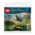 LEGO Harry Potter Quidditch Practice 30651