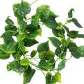 leaf strand - ivy