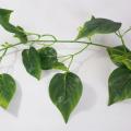 leaf strand - ivy