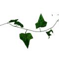 leaf strand - ivy small leaves