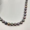 A very unusual metallic black sterling clasp coloured Akoya pearl necklace
