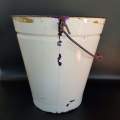 An amazing vintage white enamel with black trim milking bucket & lid