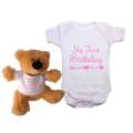 My First Birthday Arrow And Hearts Pink / Blue Baby grow and teddy combo