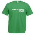 Promoted to Daddy 2020 t-shirt