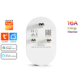 Smart Life Tuya WIFI 1CH 16A 3500W 3 Pin / 2 Pin Plug Switch w/ Power Monitoring