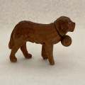 Miniature Golden Retriever Dog