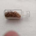 Small bottle with herbs (Miniature)