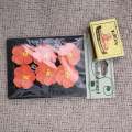 Dainty Paper Flowers (Orange)