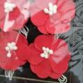 Dainty Paper Flowers (Red)
