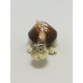 Miniature White & Brown Sea Shells Tortoise Wearing Glasses - Design 1 (Miniature, suitable for p...