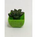 Miniature Cactus (Miniature, suitable for printer's tray)