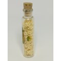 Miniature Bottle White Star Shells (Miniature, suitable for printer's tray)