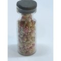 Miniature Shells in Jar - Tiny (Miniature, suitable for printer's tray)