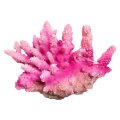 Pink Acropora Coral Ornament