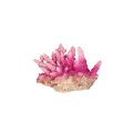 Pink Acropora Coral Ornament
