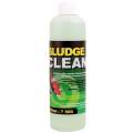 Aquazoi Sludge Clean