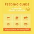 Burgess Excel Hamster Gerbil Mouse Food 750g