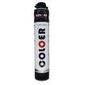 Coloer Hardscape PU Foam 900ml