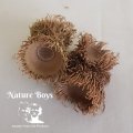 Nature Boys T-Husks