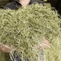 Newhay Timothy Hay with Dandelion and Nettle 1kg