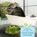 Oxbow POOF! Chinchilla Dust 1.13kg