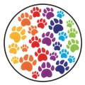 Pet ID Tag - Rainbow Paws