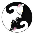 Pet ID Tag - Ying Yang Cats