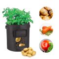 Potato, Carrot and Vegetables Grow Bag